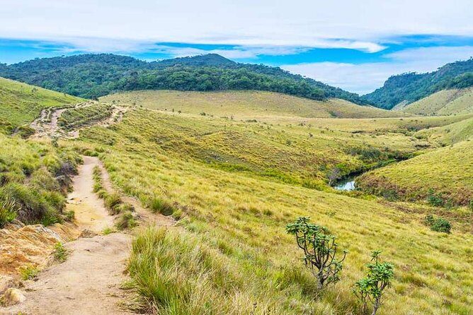 3 Days Nature and Chill Tour of Ella, Nuwara Eliya and Haputale - What to Pack (and Why Weather Matters Here)