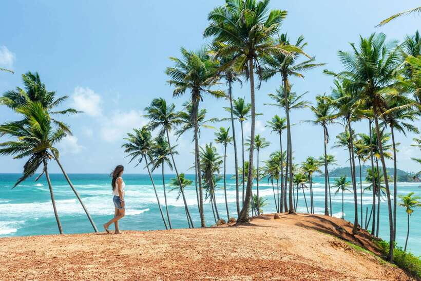 8-Day Sri Lanka Private Round Tour Hotels, Meals, Car, Guide - Day 1: Colombo to Sigiriya with Dambulla and the elephant-safari start
