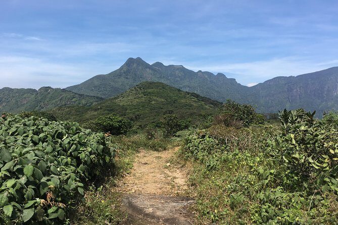 All Inclusive Knuckles Day Track With Accommodation - Key highlights worth your attention