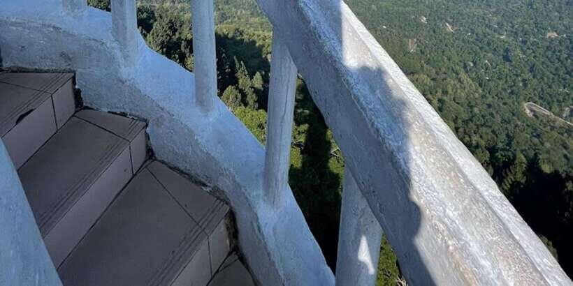 Ambuluwawa Tower & Pinnawala & Kandy Day Tour From Colombo - Price and Logistics: Does the $80 Tour Feel Like Value?
