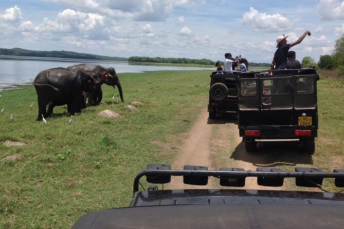 Day Tour from kandy to Sigiriya, Dambulla & National Park safari. - Key Points to Know Before You Go