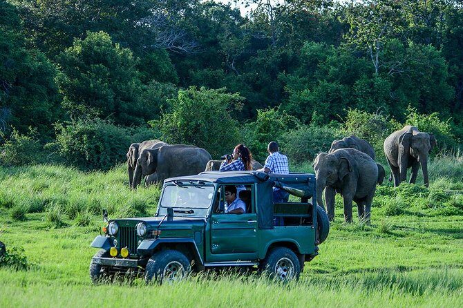Day Tour from kandy to Sigiriya, Dambulla & National Park safari. - Sigiriya Rock Hide: UNESCO in Real Life, Not a Postcard