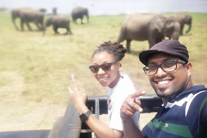 Day Tour from kandy to Sigiriya, Dambulla & National Park safari. - Comfort and Service: A/C, Pickup, and Fazeel-Style Storytelling