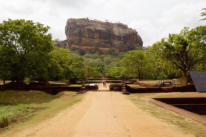 Day Tour from kandy to Sigiriya, Dambulla & National Park safari. - Dambulla Cave Temple: 160 Meters Up, 80+ Caves to Look At