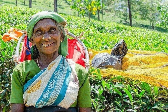 Day Tour of Nuwara Eliya - Kandy to Nuwara Eliya with a private air-conditioned ride