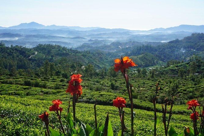 Day Tour of Nuwara Eliya - Price and value: what $45 really covers