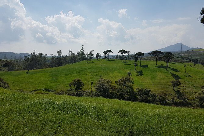Day Tour of Nuwara Eliya - The driver experience: early arrivals and real flexibility