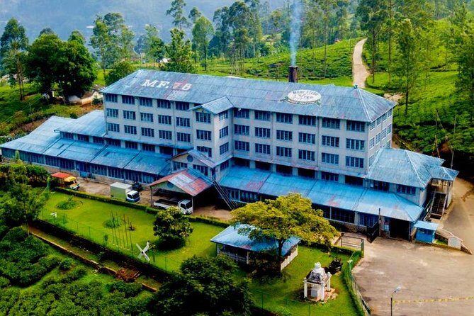 Day Tour of Nuwara Eliya - What to pack (so rain or cool air doesn’t slow you down)