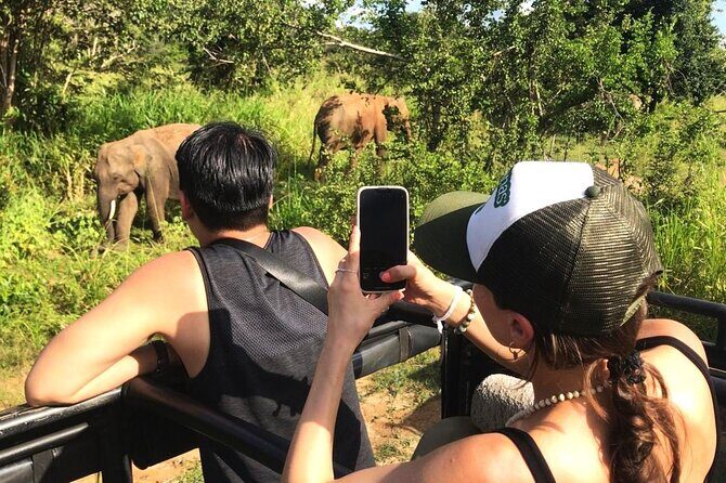 Day Tour to Dambulla, Sigiriya and Safari from Kandy (Group Tour) - Sigiriya Rock Fortress: 1,200 Steps, 660 Feet, and Lion Rock Reward
