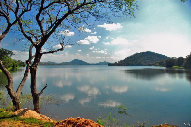 Day tour to Minneriya National Park,Sigiriya & Dambulla from Kandy - Ayurvedic village and the snack stop: a “stretch break” that can be useful