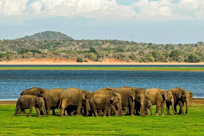 Day tour to Minneriya National Park,Sigiriya & Dambulla from Kandy - Dambulla cave temple: where the steps and Buddha faces take over