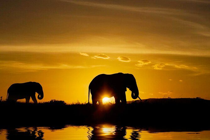 Day tour to Minneriya National Park,Sigiriya & Dambulla from Kandy - Price and logistics: what you’ll actually spend