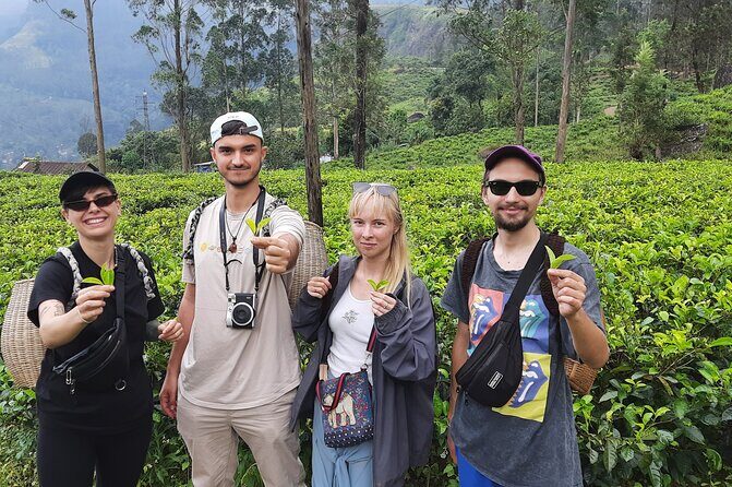 Day tour to Nuwareeliya (Little England) from Kandy - Stop 1: Blue Field Tea Factory and the one-hour tea process