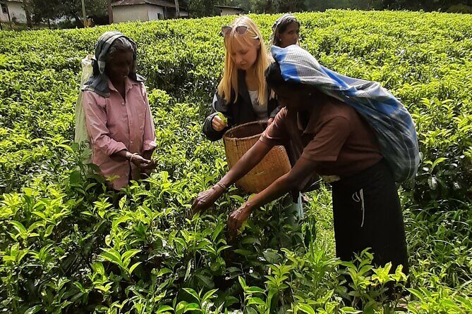 Day tour to Nuwareeliya (Little England) from Kandy - Stop 3: Nuwara Eliya Post Office—small stop, perfect photo pause