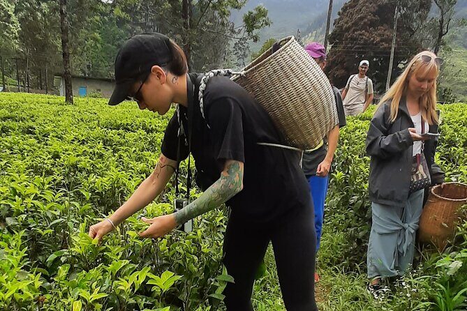 Day tour to Nuwareeliya (Little England) from Kandy - Stop 4: Nuwara Eliya itself—Little England vibes in a hill town setting