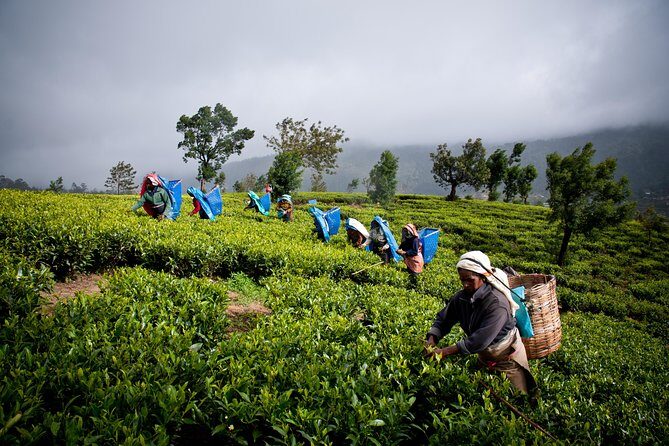 Day tour to Nuwareeliya (Little England) from Kandy - Stop 5: Gregory Lake and the small entrance fee