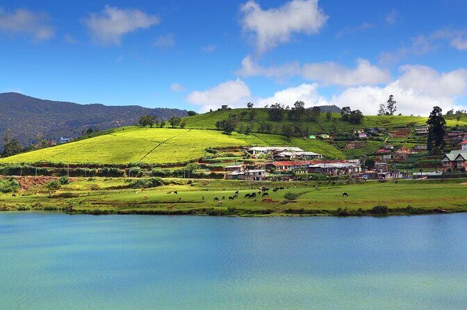 Day Trip to Nuwara eliya from Kandy - Key highlights you’ll feel on this day trip