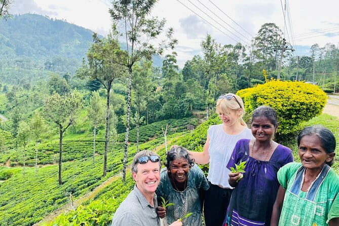 Discover Sri Lanka with Tailored Tours for Timeless Memories - A Private Sri Lanka Road Trip Starting and Ending in Kandy