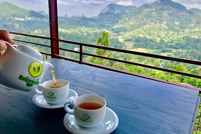 Ella Private Day Tour From Kandy - How the Kandy to Ella private day actually works