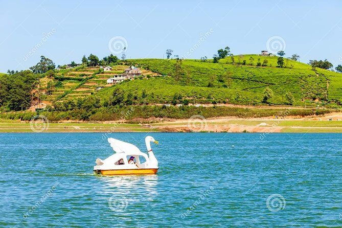 Ella Private Day Tour From Kandy - Gregory Lake: a cooler pause in the hill-country mood