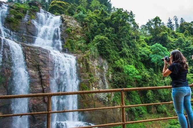 Ella Private Day Tour From Kandy - Damro Labookellie Tea Centre and tea garden: factory meets real plantations