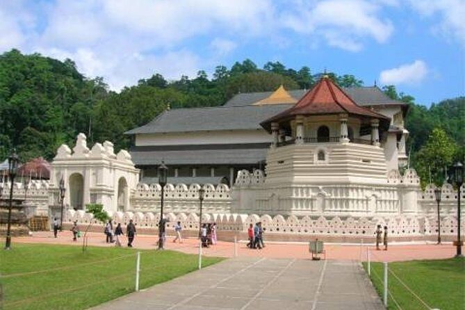Evening Tour at the Last Kingdom of Sri Lanka, Kandy - What makes the timing work (and where it can feel tight)