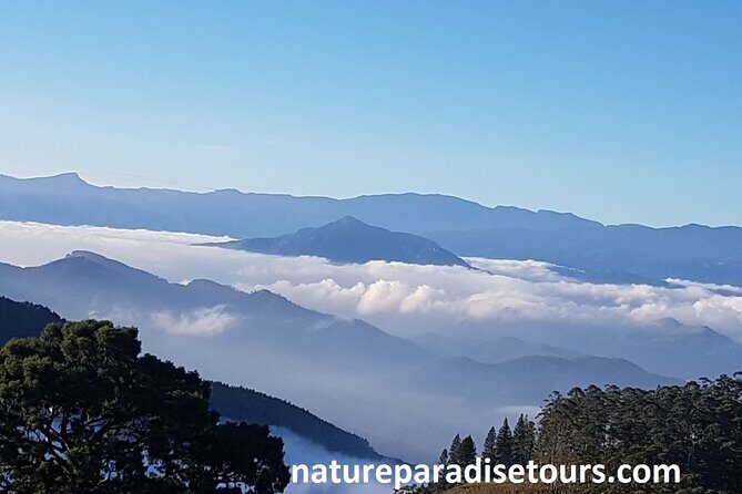 Exclusive knuckles Camping Tour from kandy - Key highlights worth planning around
