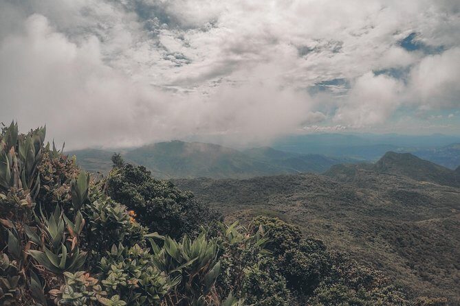 Exclusive knuckles Camping Tour from kandy - Day 2: breakfast at camp, tea-trail downhill, and the cloud-tree forest