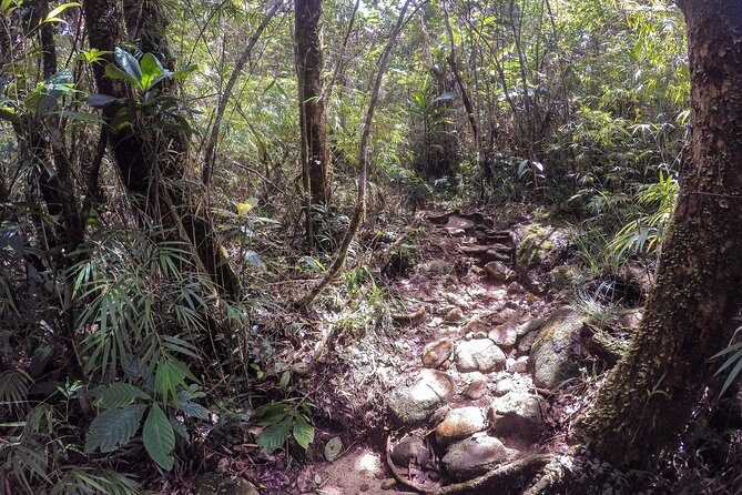 Exclusive knuckles Camping Tour from kandy - Wooden bridges and the silent forest area: where the trek turns special