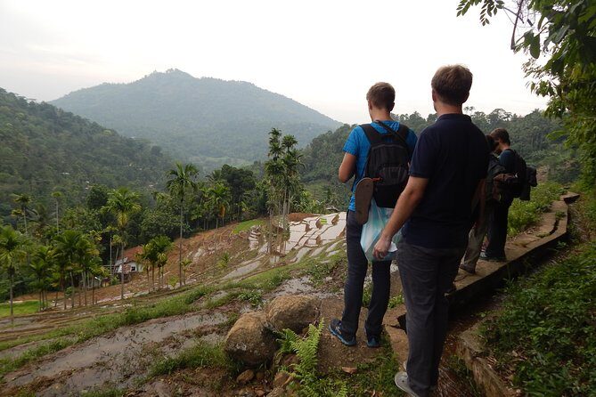Exclusive knuckles Camping Tour from kandy - Pace, packing, and weather: the practical stuff that makes or breaks it