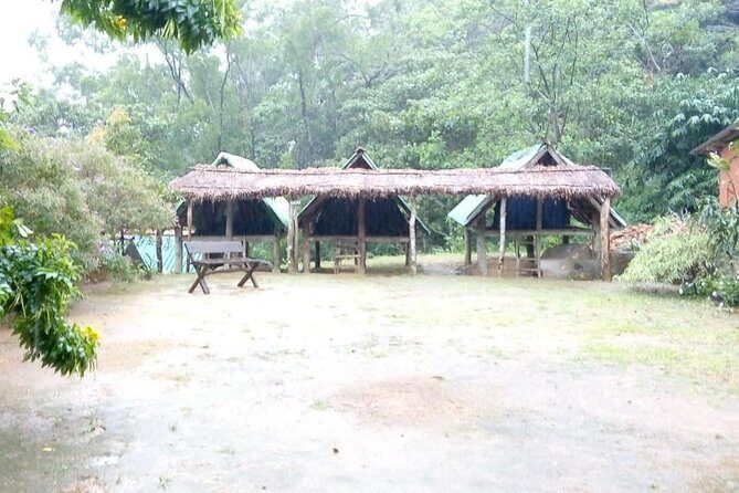 Exclusive knuckles Camping Tour from kandy - Day 1: tea trail trek, wooden bridges, and a picnic by water