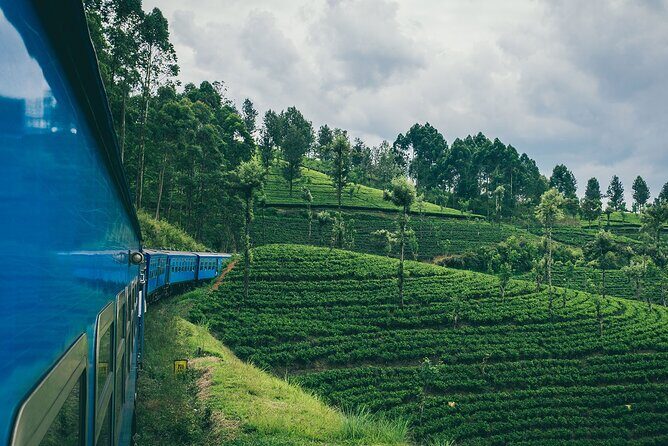 First Class Scenic Train Ticket From Kandy To Ella - The Ambewela Departure Twist: How to Plan Your Morning