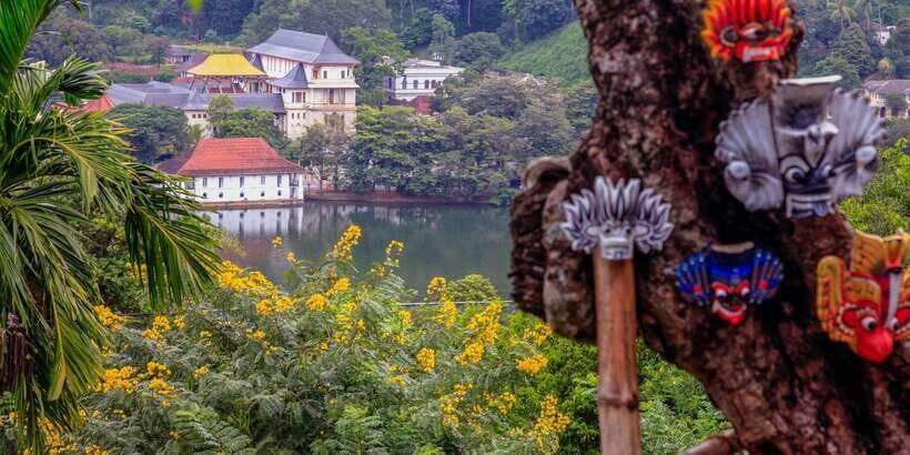 From Colombo: Kandy Full-Day Trip - Royal Botanic Gardens, Kandy: Orchids, Spice Plants, and a Buggy Option