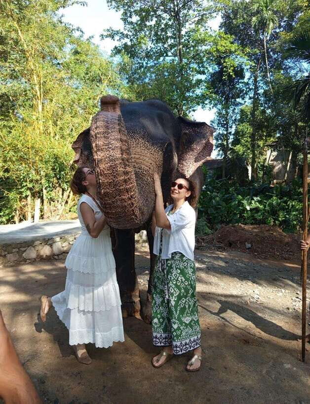 From Colombo or Negombo: Pinnawala, Kandy & Tea Factory Tour - The Colombo-to-Kandy drive: why you should plan for a long day
