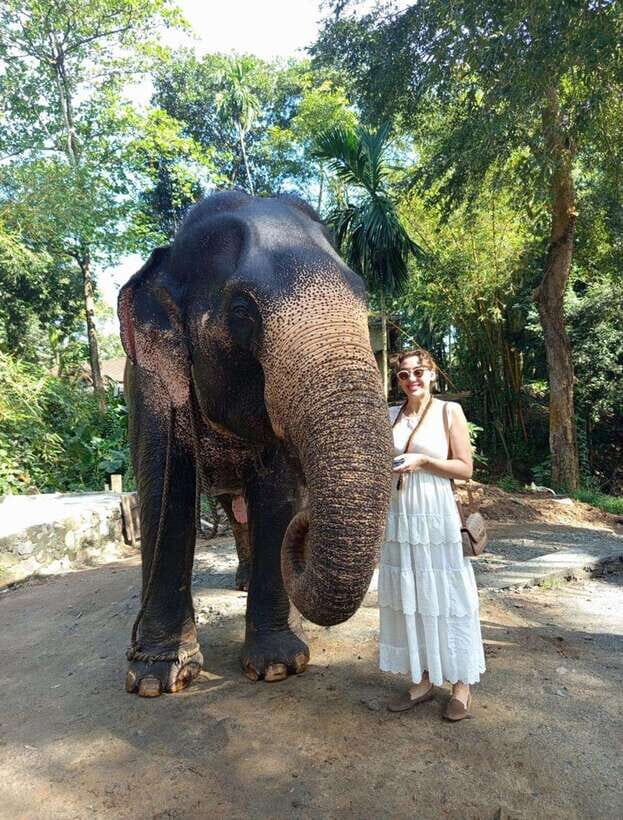 From Colombo or Negombo: Pinnawala, Kandy & Tea Factory Tour - Bahirawakanda Temple: a short stop with big viewpoint payoff