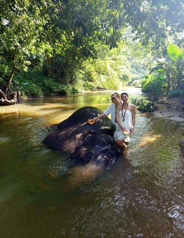 From Colombo or Negombo: Pinnawala, Kandy & Tea Factory Tour - Temple of the Sacred Tooth Relic in Kandy: UNESCO meaning, not just sightseeing