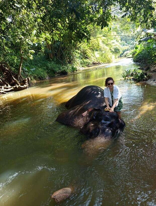 From Colombo or Negombo: Pinnawala, Kandy & Tea Factory Tour - Pinnawala Elephant Orphanage: the river scene that anchors the whole day