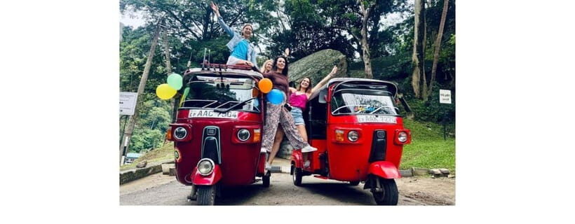 From Kandy: Dambulla to Sigiriya Day Tours - Herbal cinnamon and spice garden: more than souvenirs