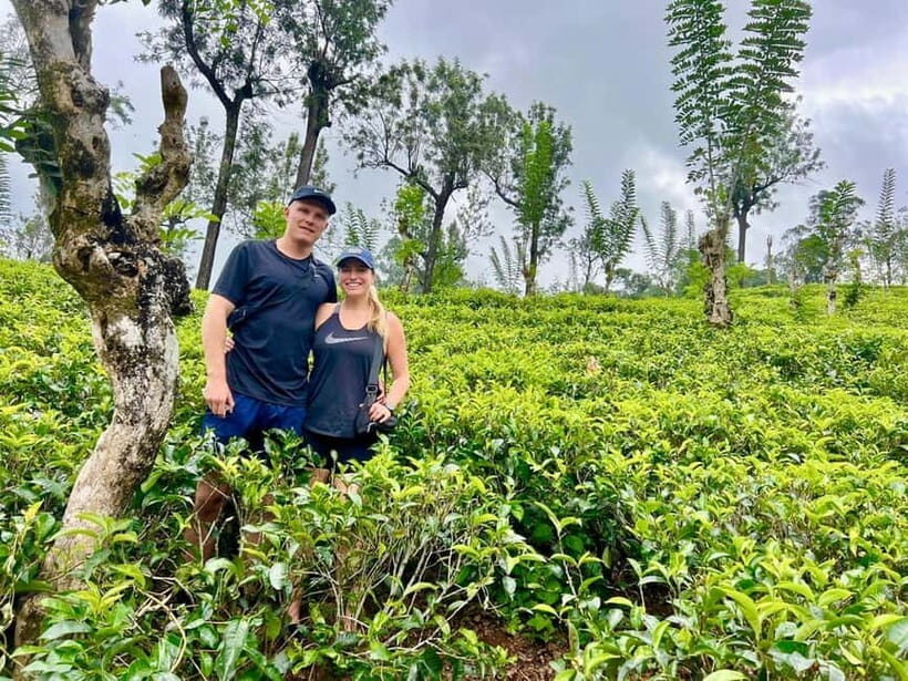 From Kandy: Ella Drop Tour via Nuwara Eliya - Your driver matters more than you think
