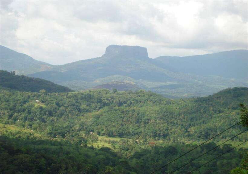 From Kandy: Kandy To Pinnawala Day Tour by Tuk Tuk - Price and what you’ll pay beyond the $42