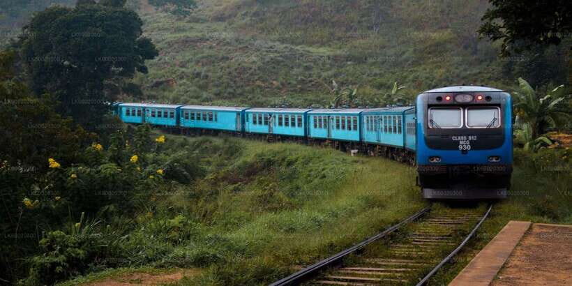 From Kandy: Nuwara Eliya by Train - Kandy to Nuwara Eliya by Train: what you’re really paying for