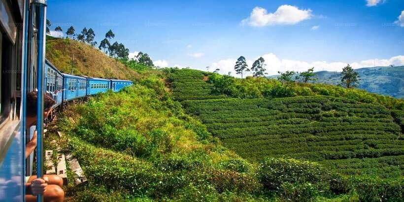 From Kandy: Nuwara Eliya by Train - Price and value versus doing it on your own