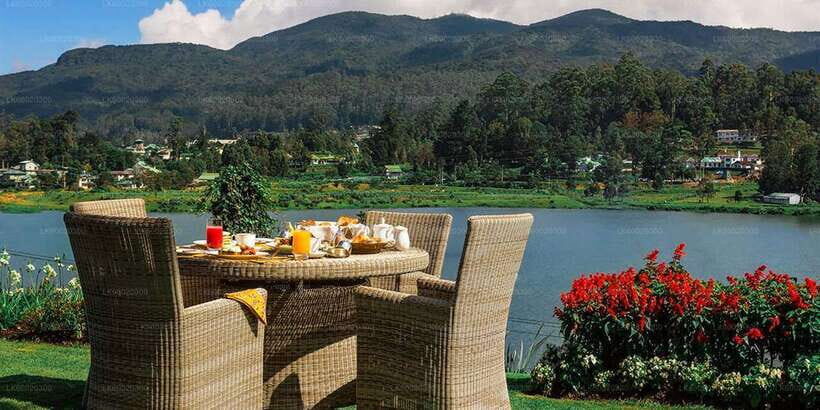 From Kandy: Nuwara Eliya by Train - The train ride to Nanuoya: the real star of the day