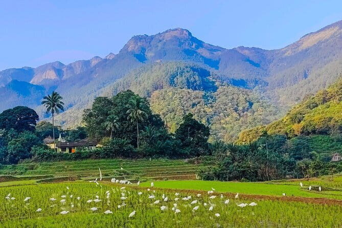 From Kandy to ELLA Private day tour - Gregory Lake and Nine Arches Bridge: ending with views