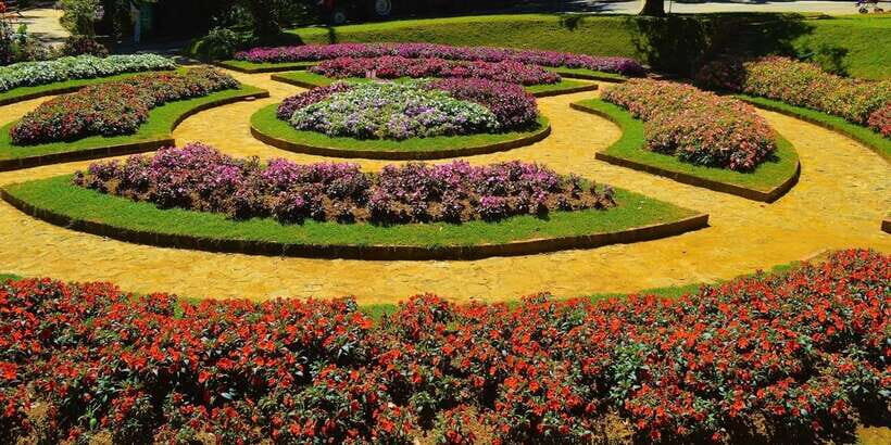 From Kandy To Nuwara Eliya Drop Tour - Private Tour - Optional: Gregory Lake and Victoria Park If You Have Time