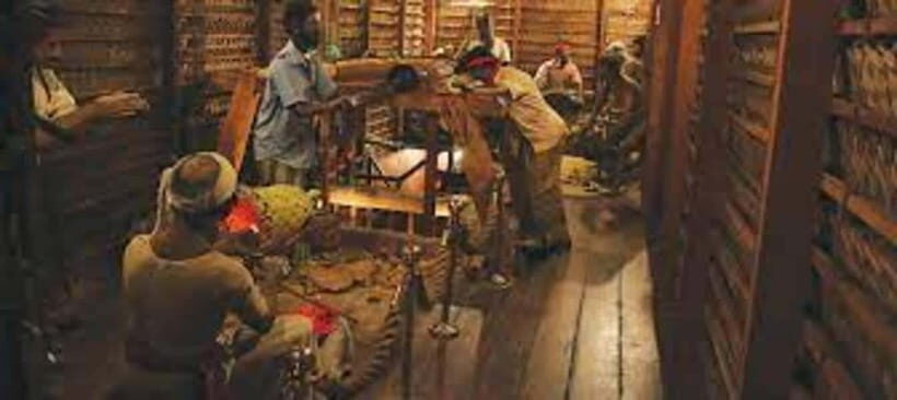 From Negombo : Pinnawala & Tea Factory & Kandy Full Day Trip - Temple of the Sacred Tooth Relic: etiquette first, then awe