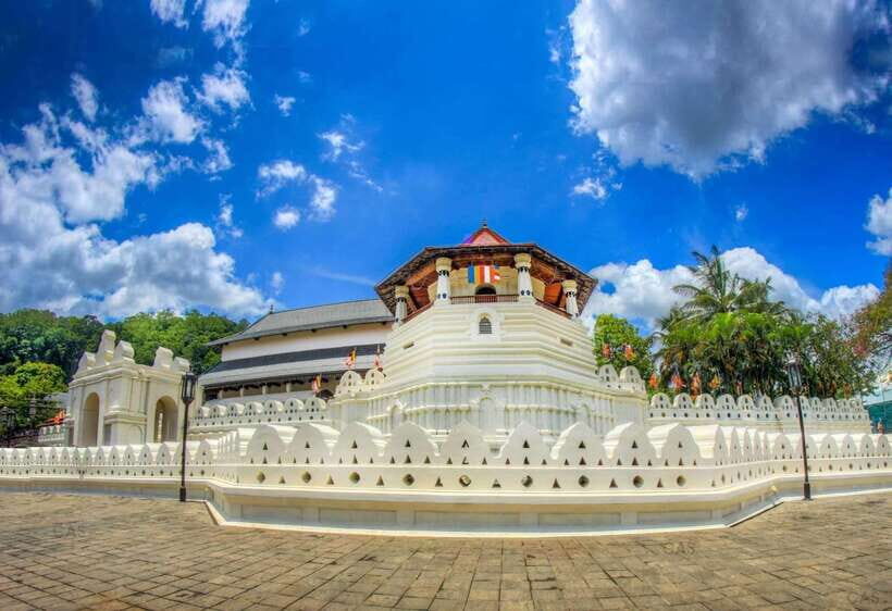 From Nuwara Eliya To Kandy Drop Tour - Giant Java Fig Tree and a woodcarving family house