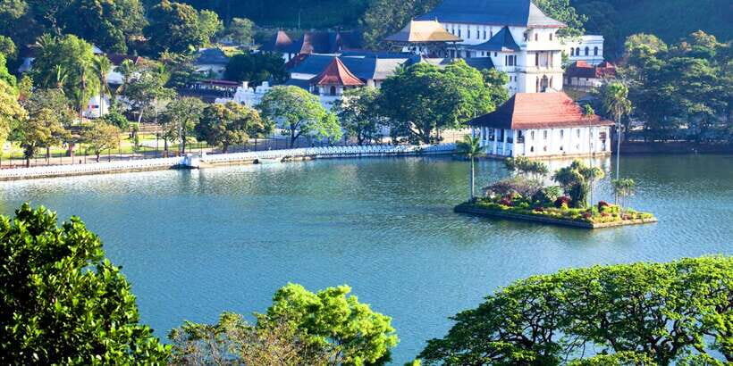 From west coast: Kandy, Tooth temple, Botanical & Tea garden - Peradeniya Botanical Garden: orchids, shade walks, and bird-watching time