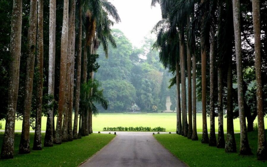 From west coast: Kandy, Tooth temple, Botanical & Tea garden - Kandy downtown: sightseeing plus shopping without the headache