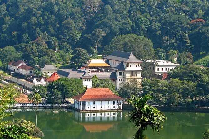 Full-Day Kandy Highlights Tour - Key Points Worth Knowing Before You Go